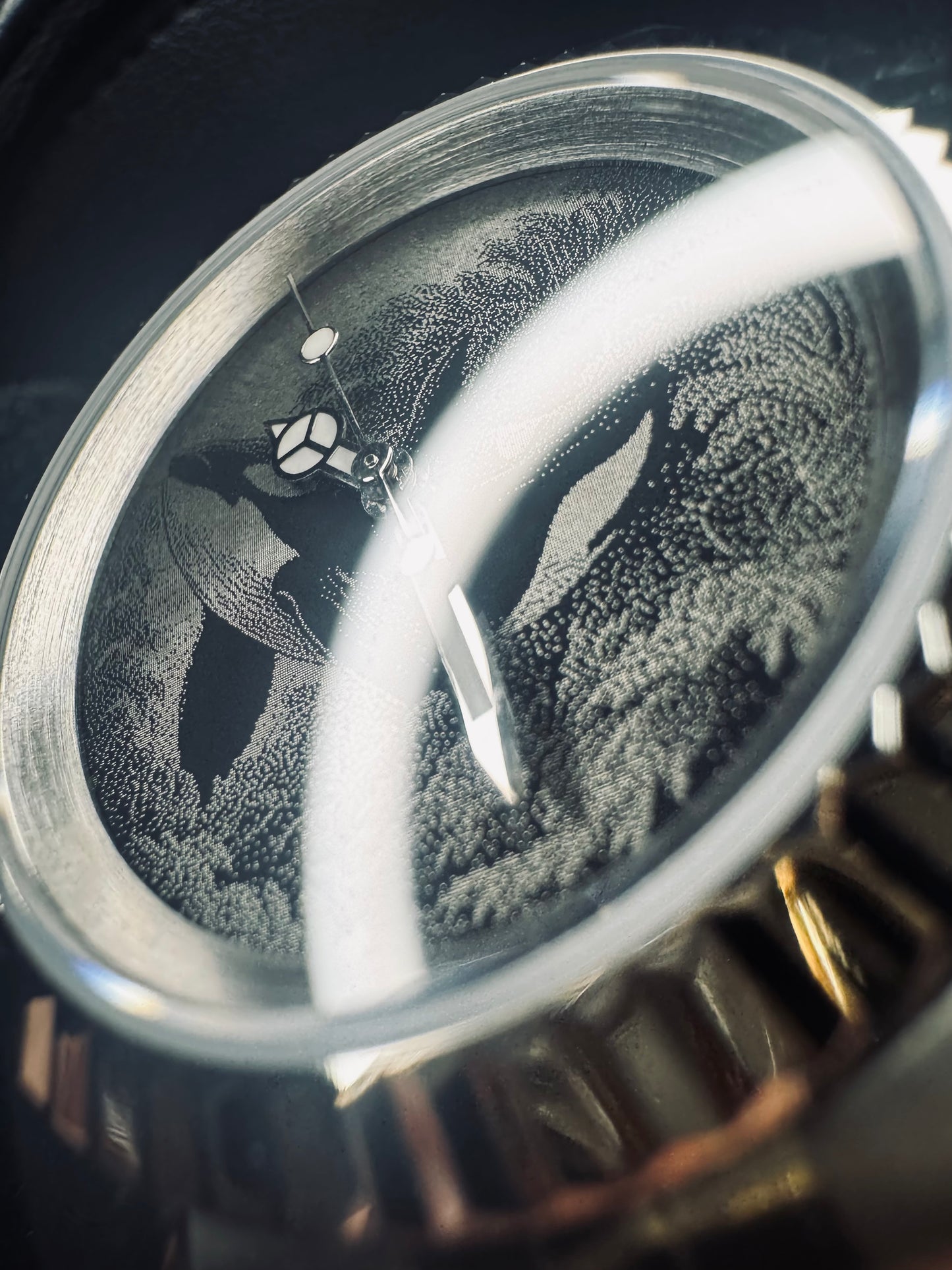 Wild Waters Sovereign